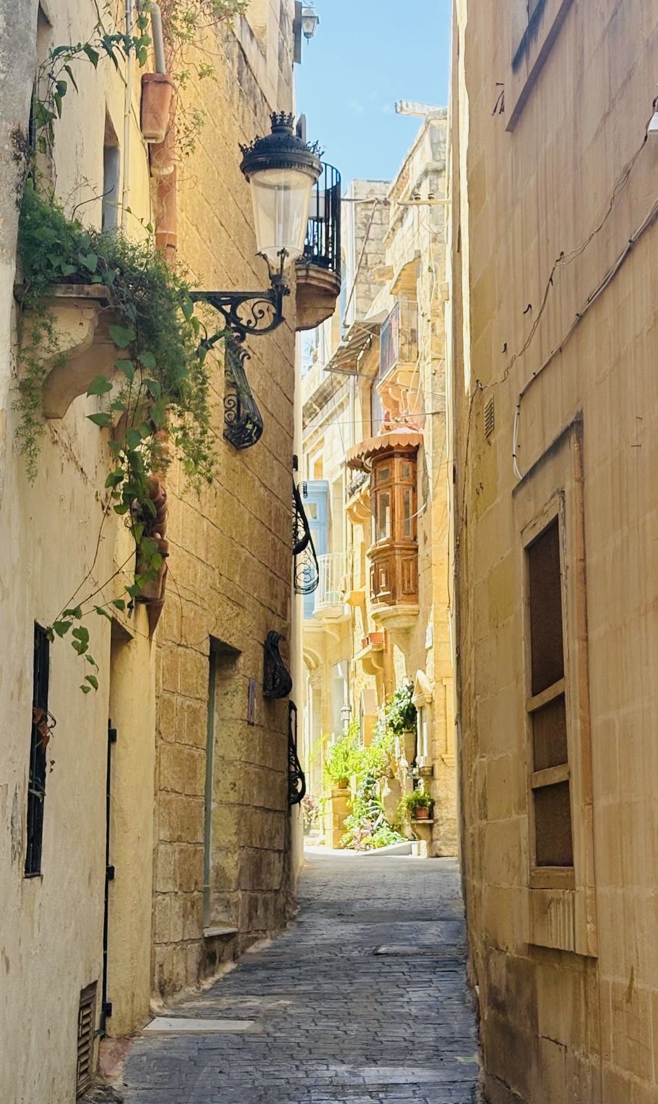 Ruelle