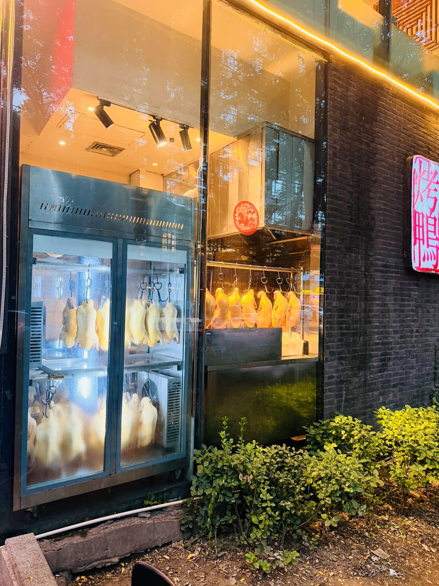 Jingzun Pekin Duck vitrine
